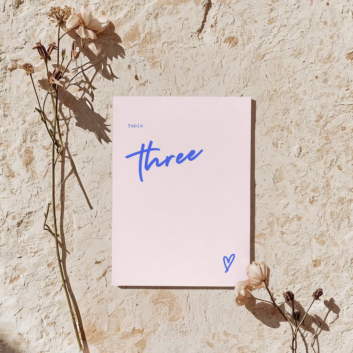 Everything But The Cake Bundle | Cross My Heart